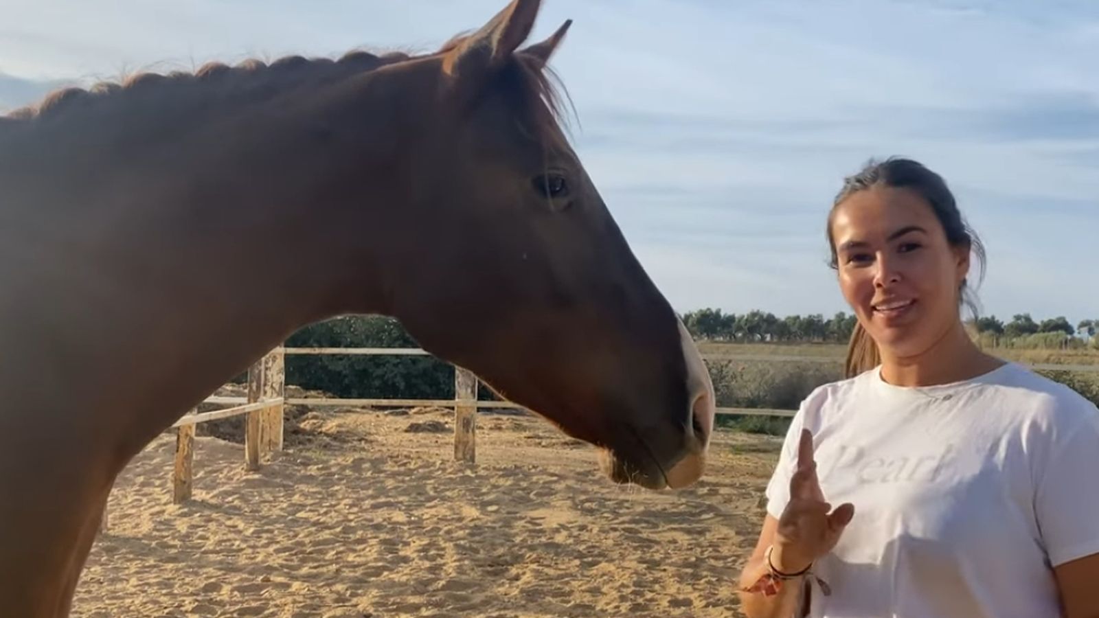 Patas Arriba 17 enero ok