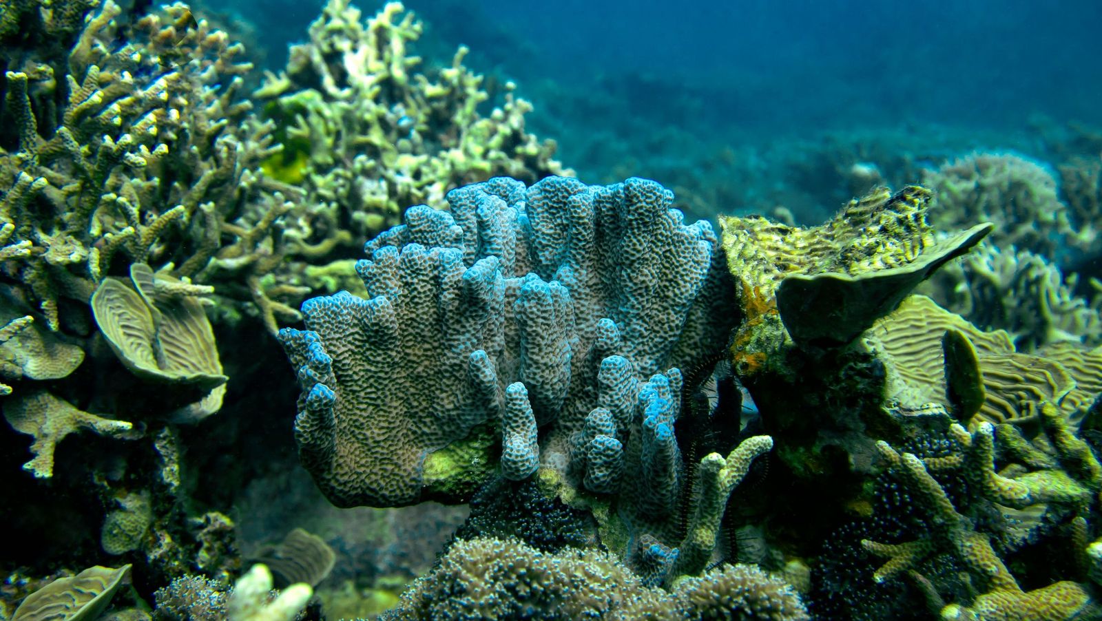 2 heidi-bruce-rr1CpznEYM0-unsplash