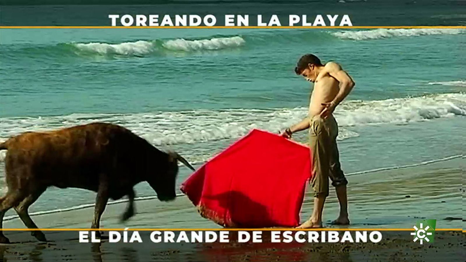 El toreo más bello de Manuel Escribano, a la orilla del mar