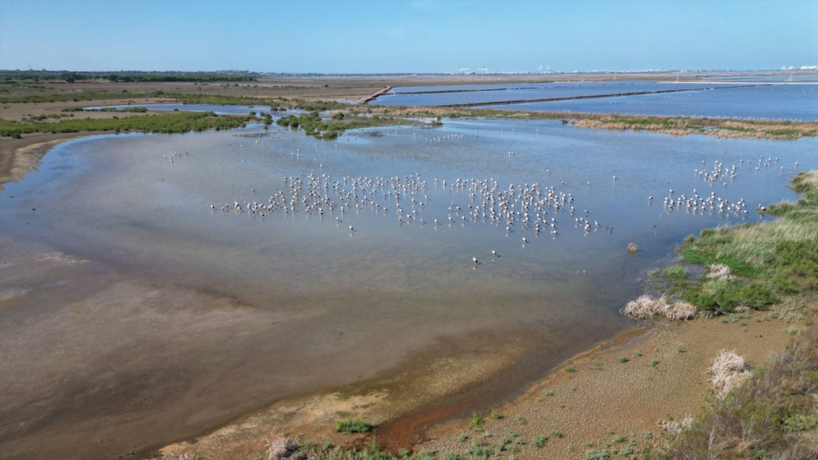 Espacio protegido, 18 enero