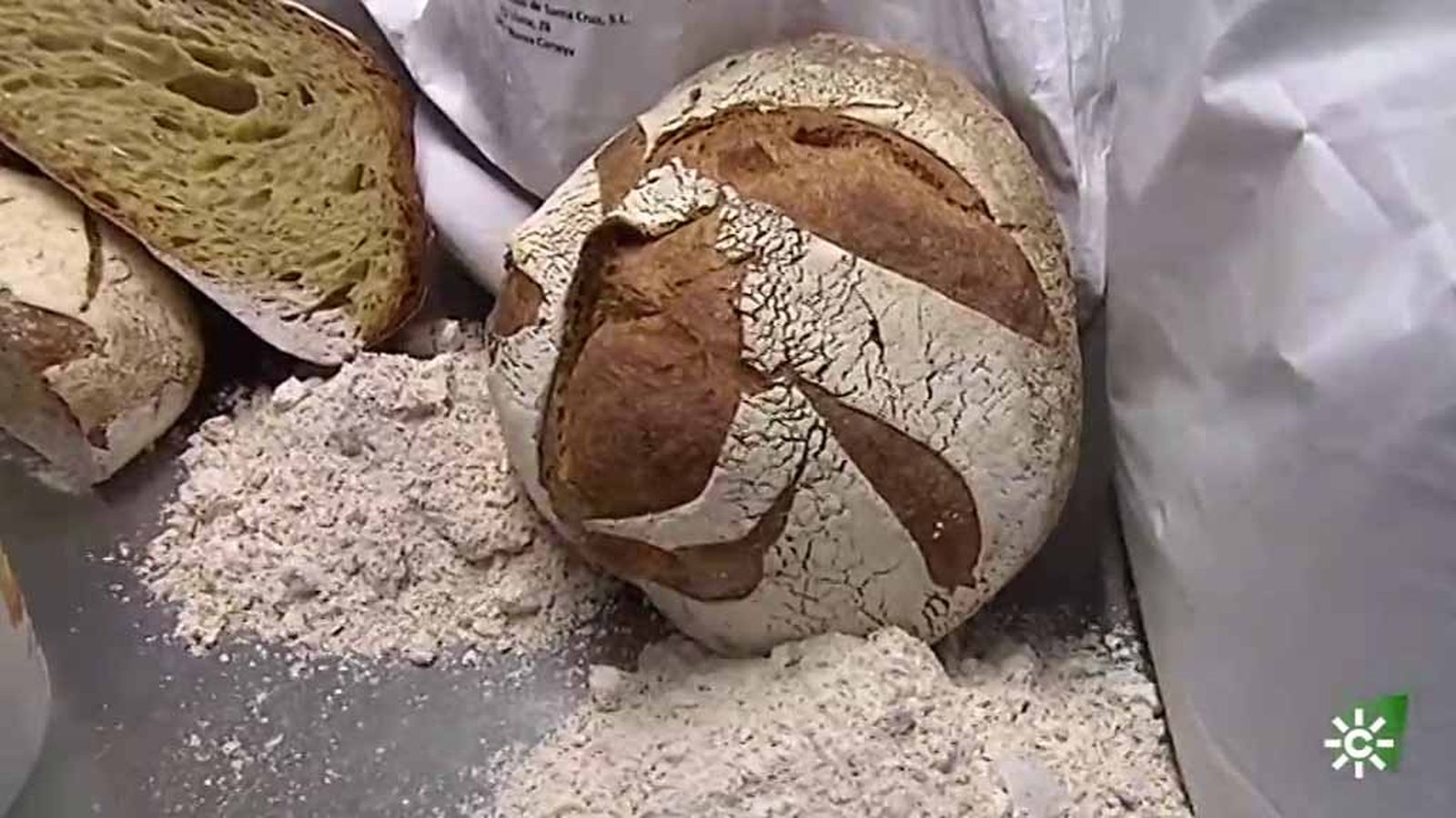 Un panadero cordobes recupera semillas de la prehistoria