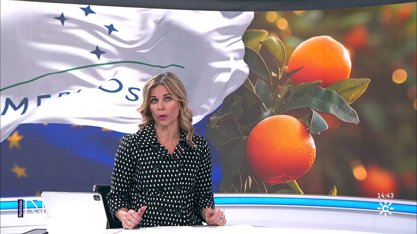 Los cítricos y el arroz temen la competencia desleal de Mercosur