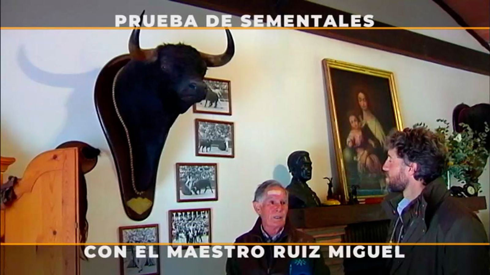 Toros para todos maestro Ruiz Miguel 1024 px
