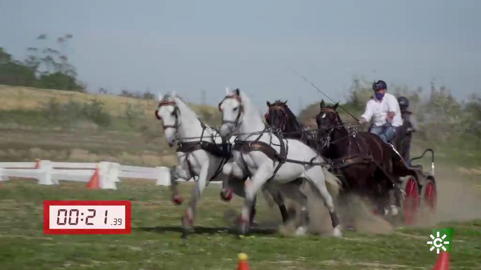 Emocionante carrera de enganches de la yeguada Cuatro Aguas