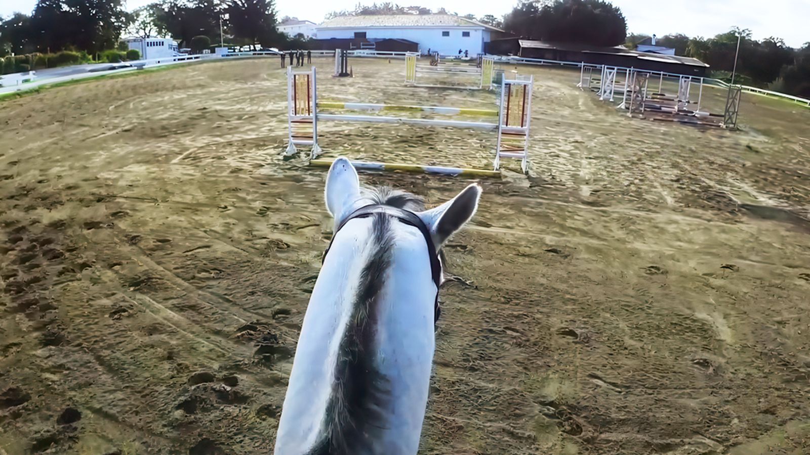 Todocaballo 1024x576 salto 2