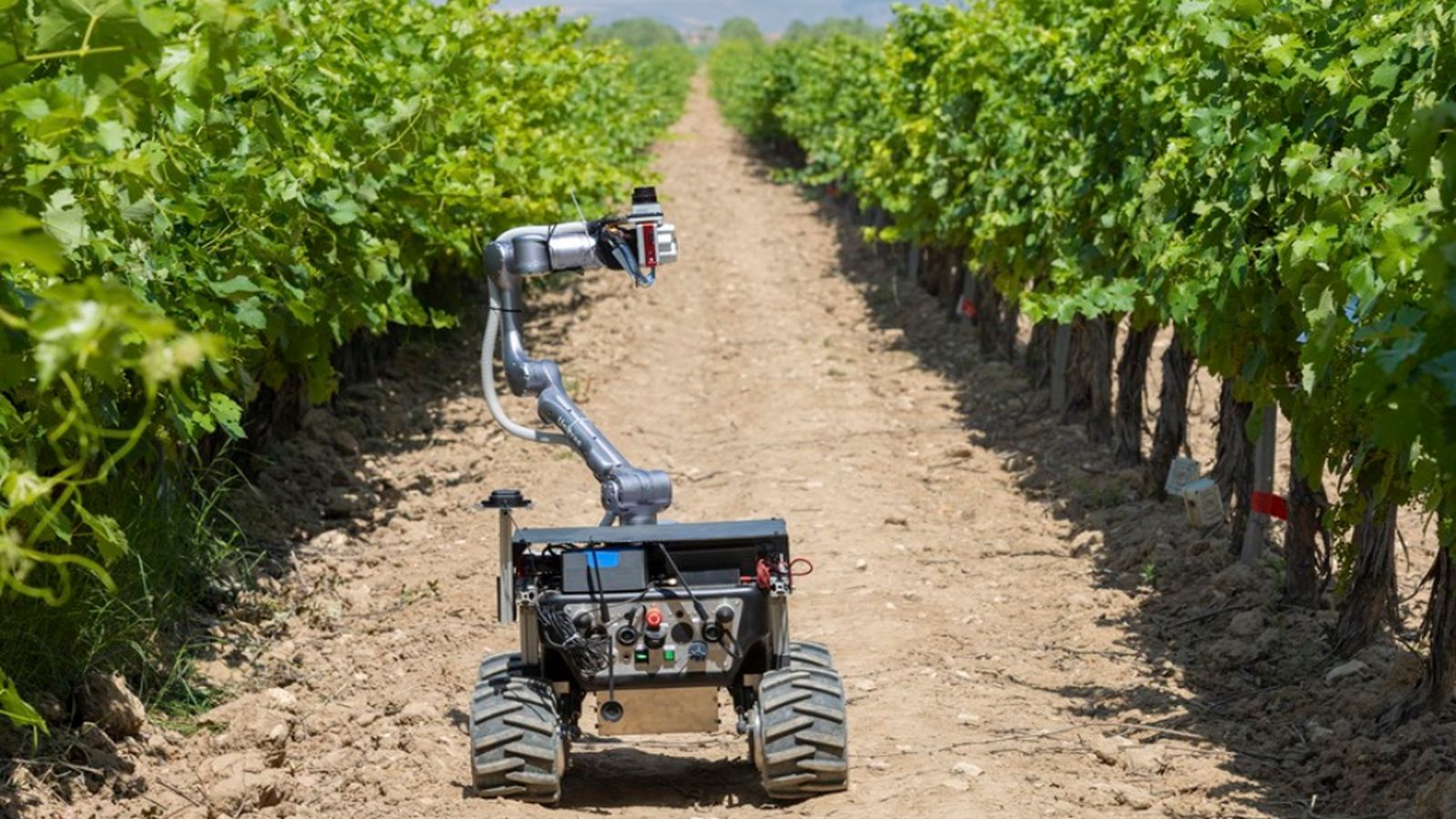 Tierra y Mar, 18 enero