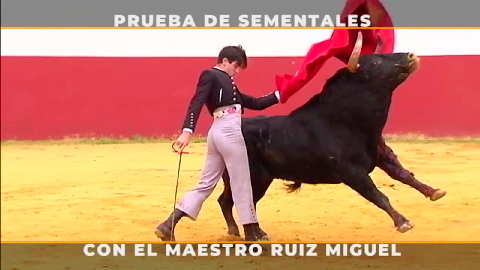 Emocionante selección de sementales con el maestro Ruiz Miguel