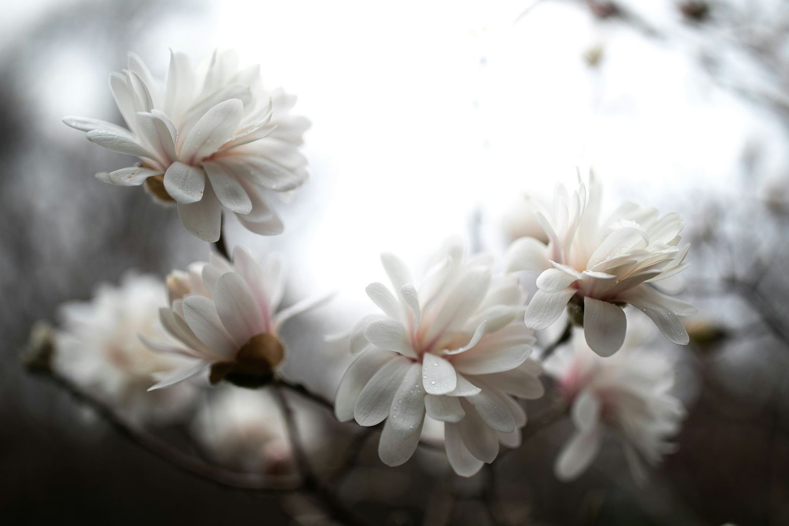 Fotogalería febrero 2026