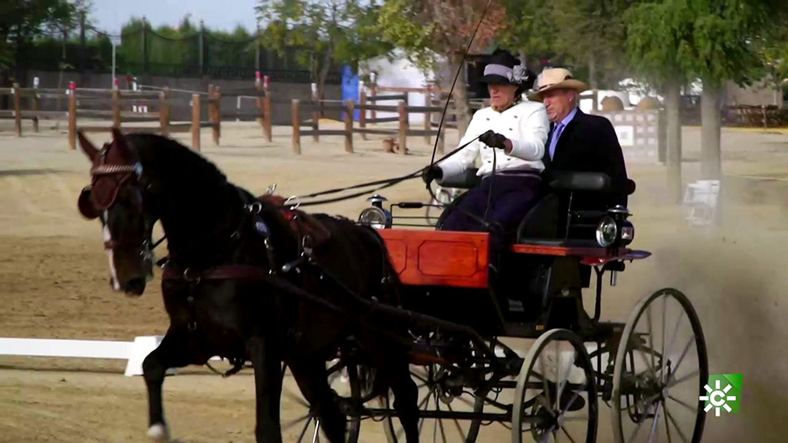 La mejores características que hacen bueno al caballo para el enganche