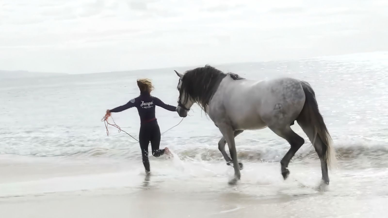 Natación en el mar, una terapia innovadora para la recuperación equina