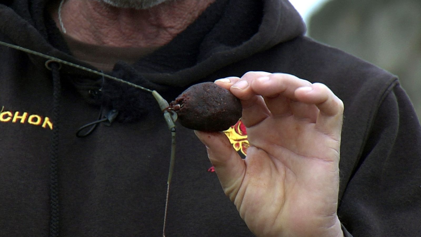 Lances 18 enero pesca