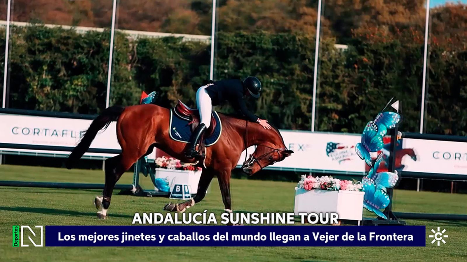 Comienza la Andalucía Sunshine Tour en la Dehesa de Montenmedio