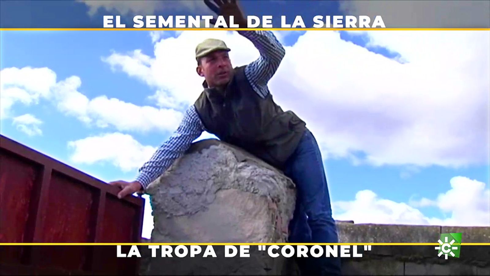 El curioso sistema del mayoral Juan Pablo Molina, para apartar a un semental