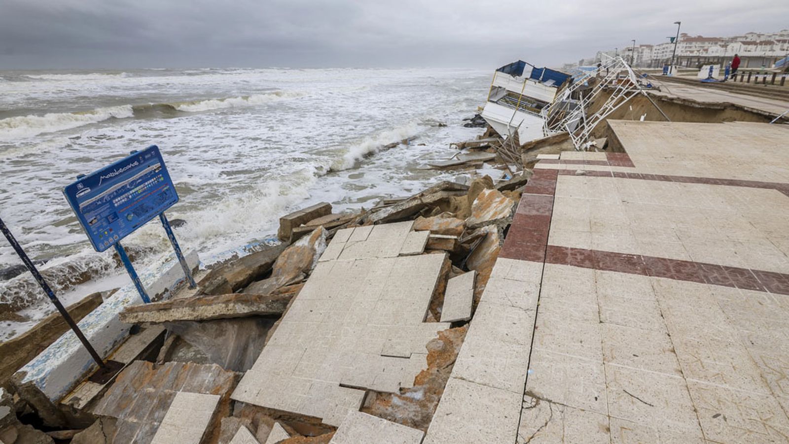 Matalascañas Francis