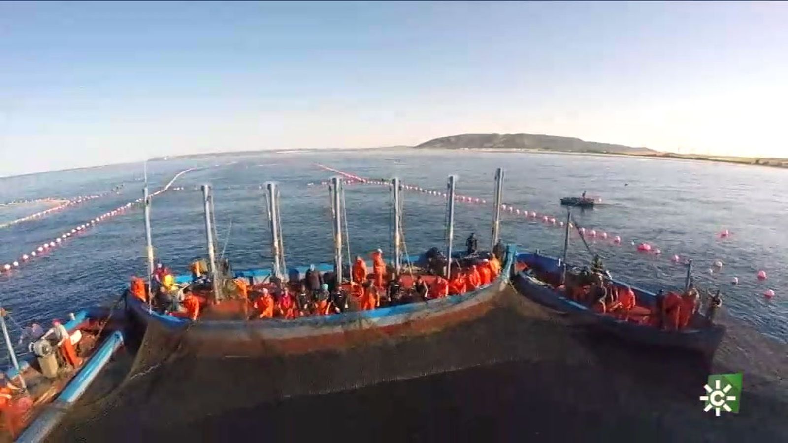 La mayor almadraba del mundo está en Barbate