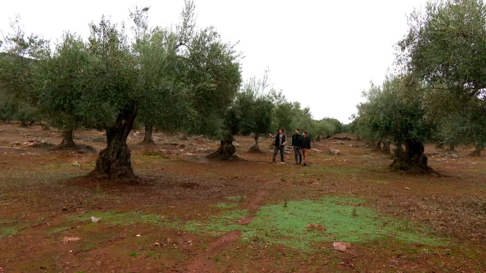 Productos con rostro para estrechar lazos entre productores y clientes