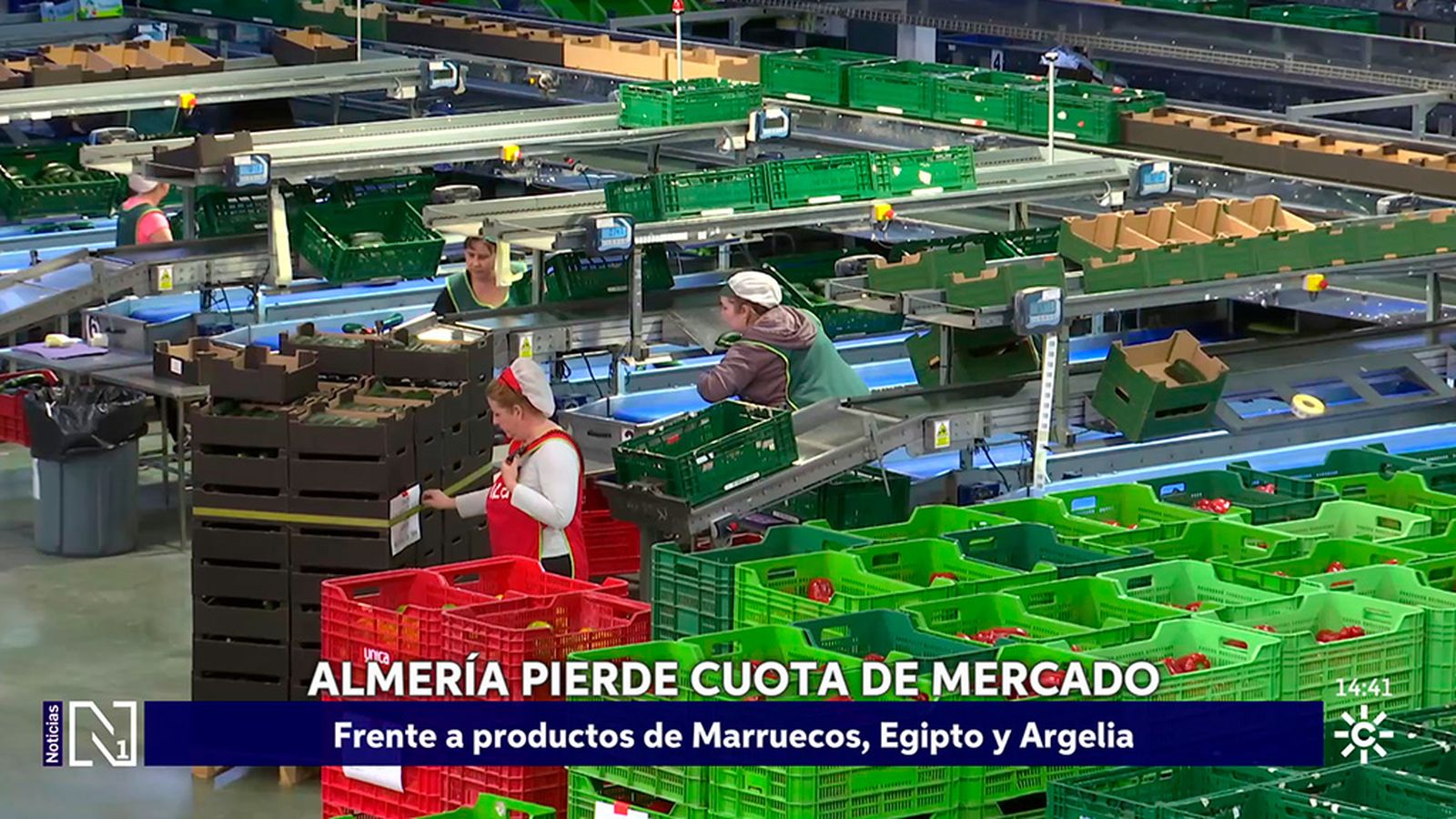 Almería pierde el 10 % de la cuota de mercado en cinco años