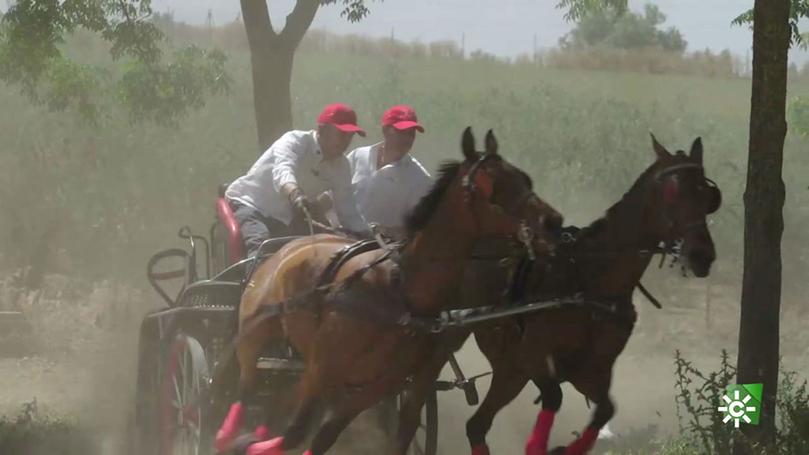 Pruden de la Miyar, cómo entrena un campeón de España de Enganche Deportivo