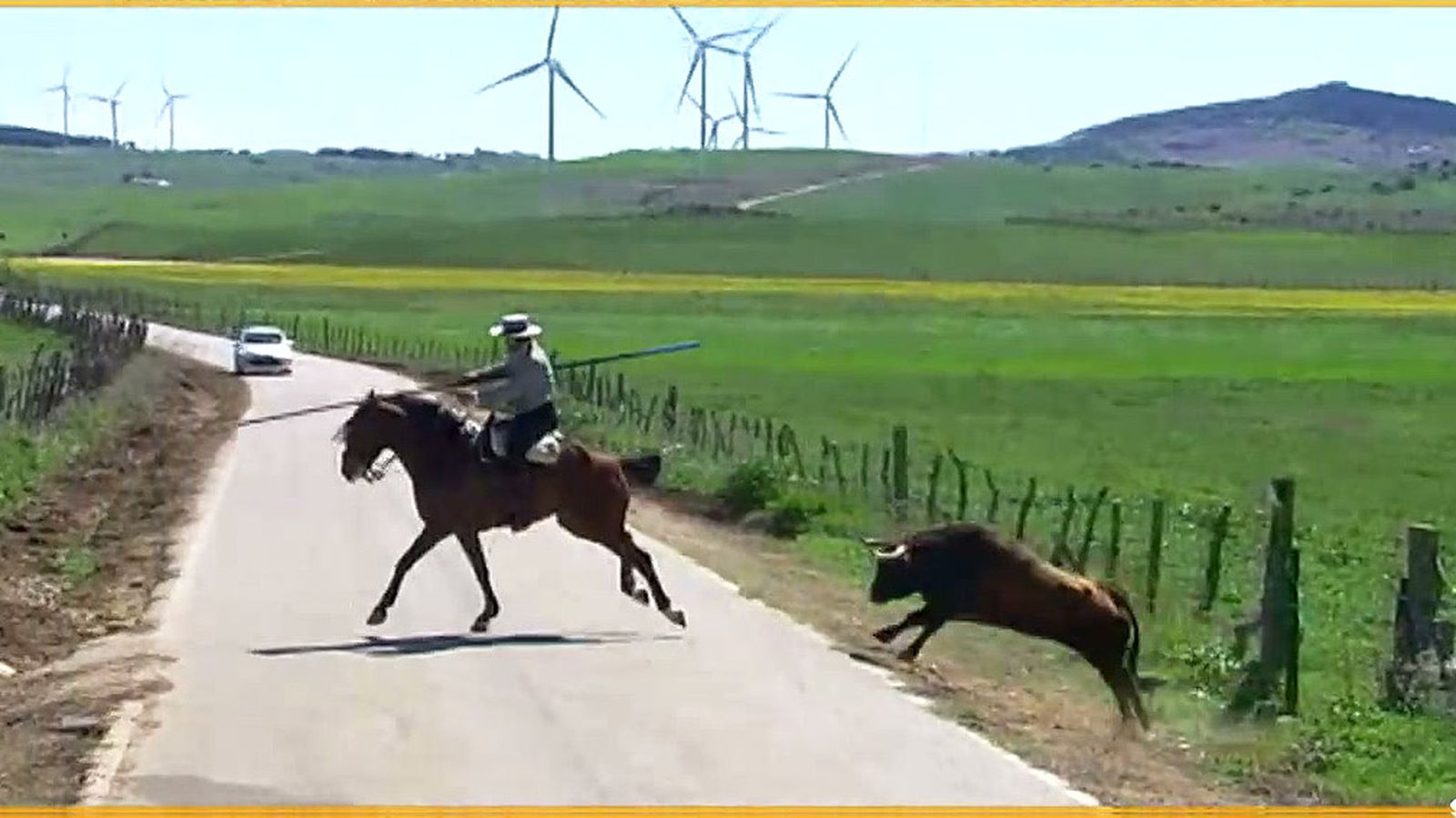 Valor y técnica, cualidades para trasladar a un semental en el campo