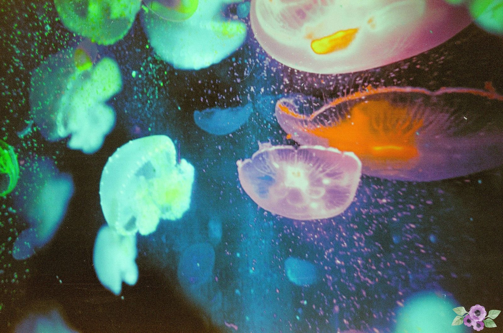 yudha-aprilian-yuHIVhJZI7A-unsplash