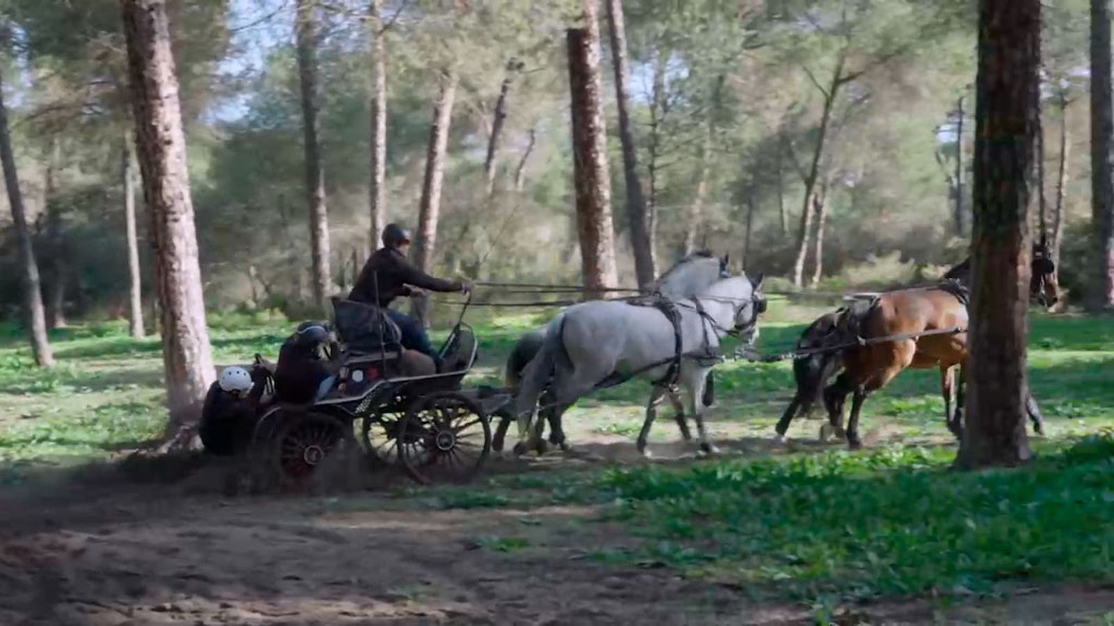 Nos convertimos en cocheros por un día