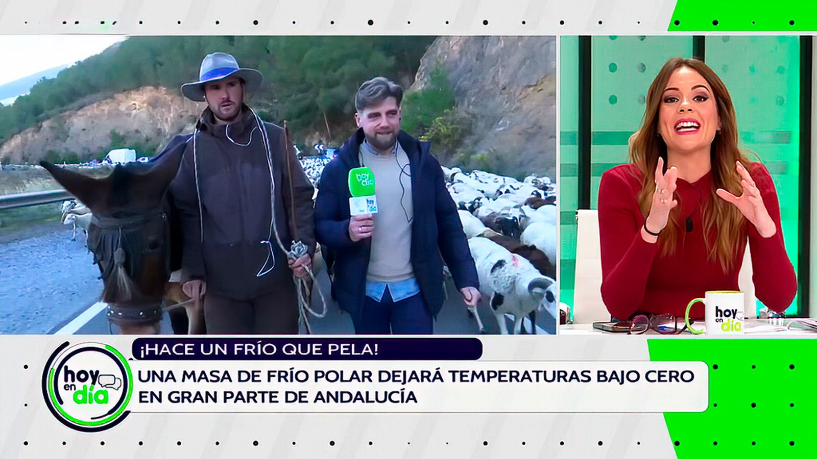 Los pastores de la Alpujarra granadina que mantienen viva la trashumancia