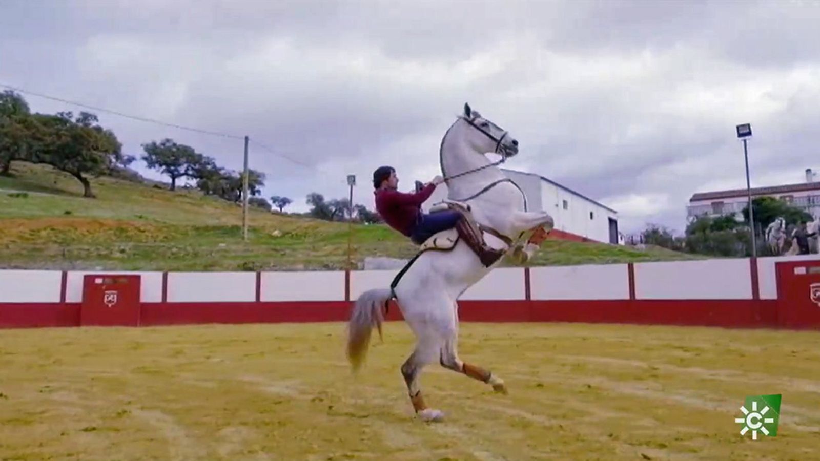 Así se preparan los caballos toreros de Andrés Romero