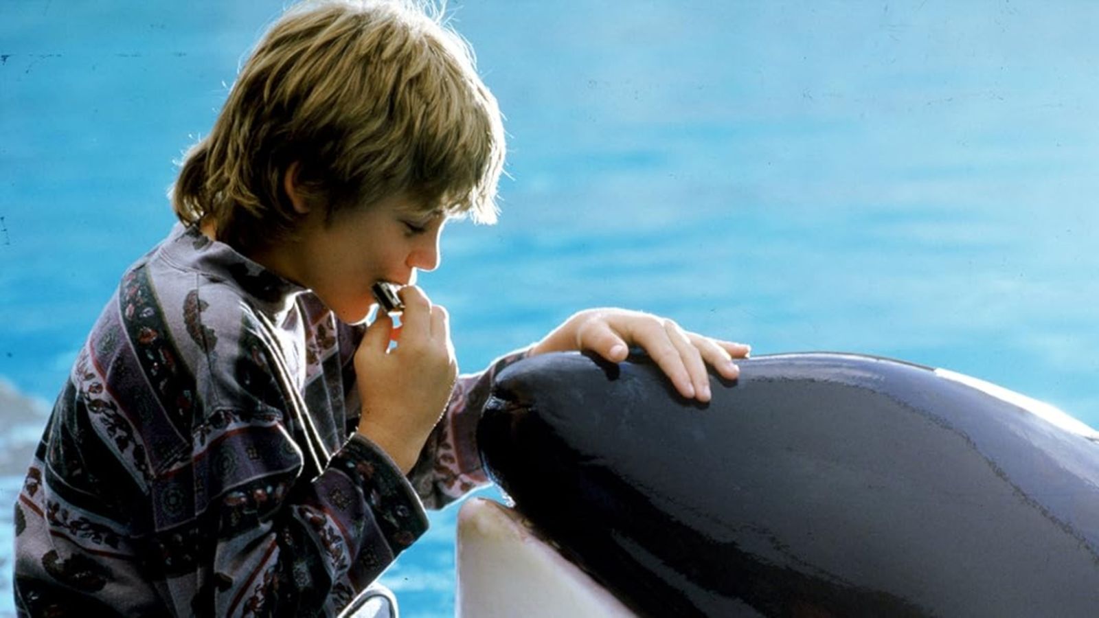 cine, Liberad a Willy