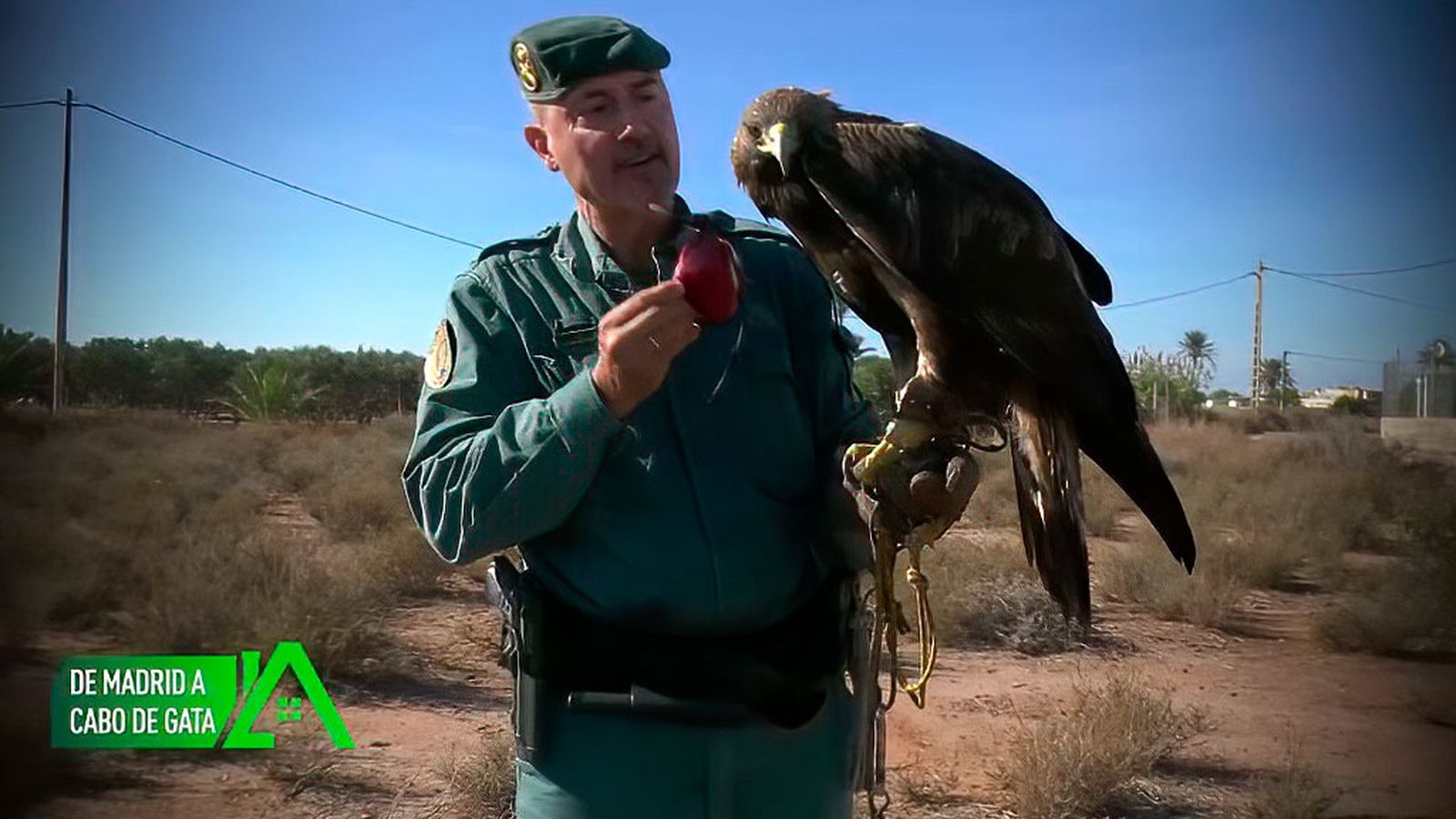 Es cetrero del Seprona en Cabo de Gata