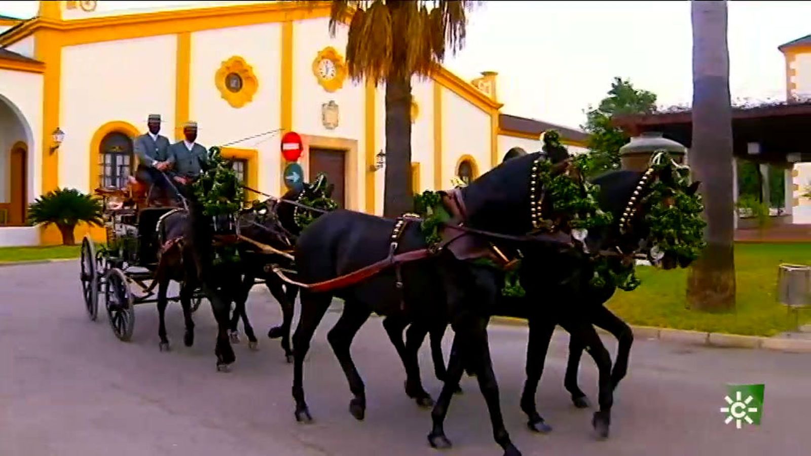 La yeguada especializada en doma para enganche del pura raza española de capa negra