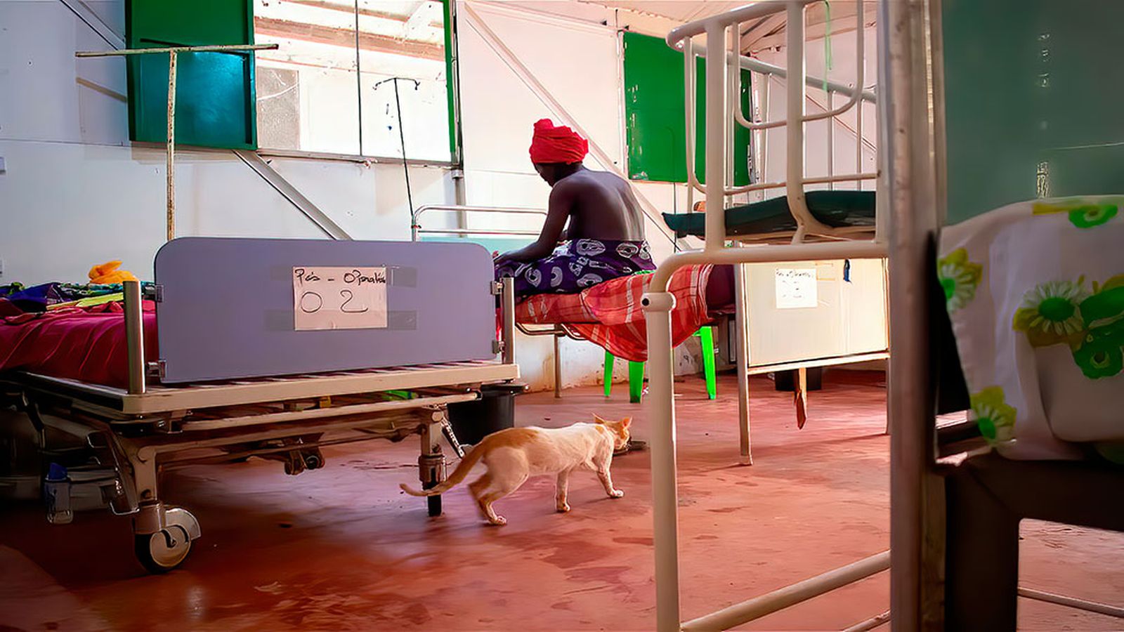 Viajes de ida y vuelta