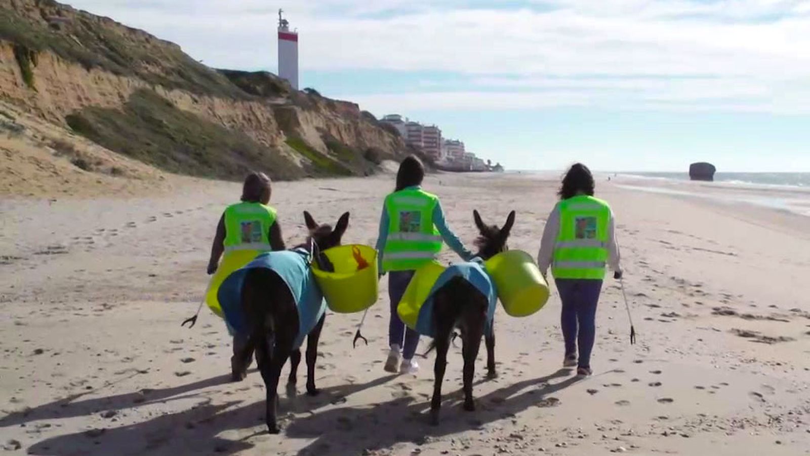 El trabajo de la Asociación Mujeres por Doñana con sus burritas limpia playas