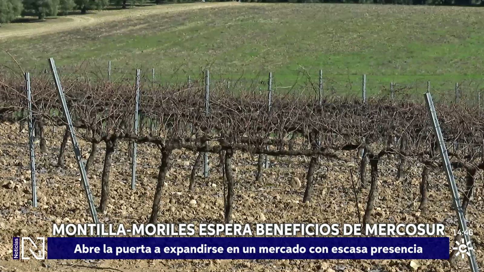 Montilla Moriles espera beneficios del acuerdo con Mercosur