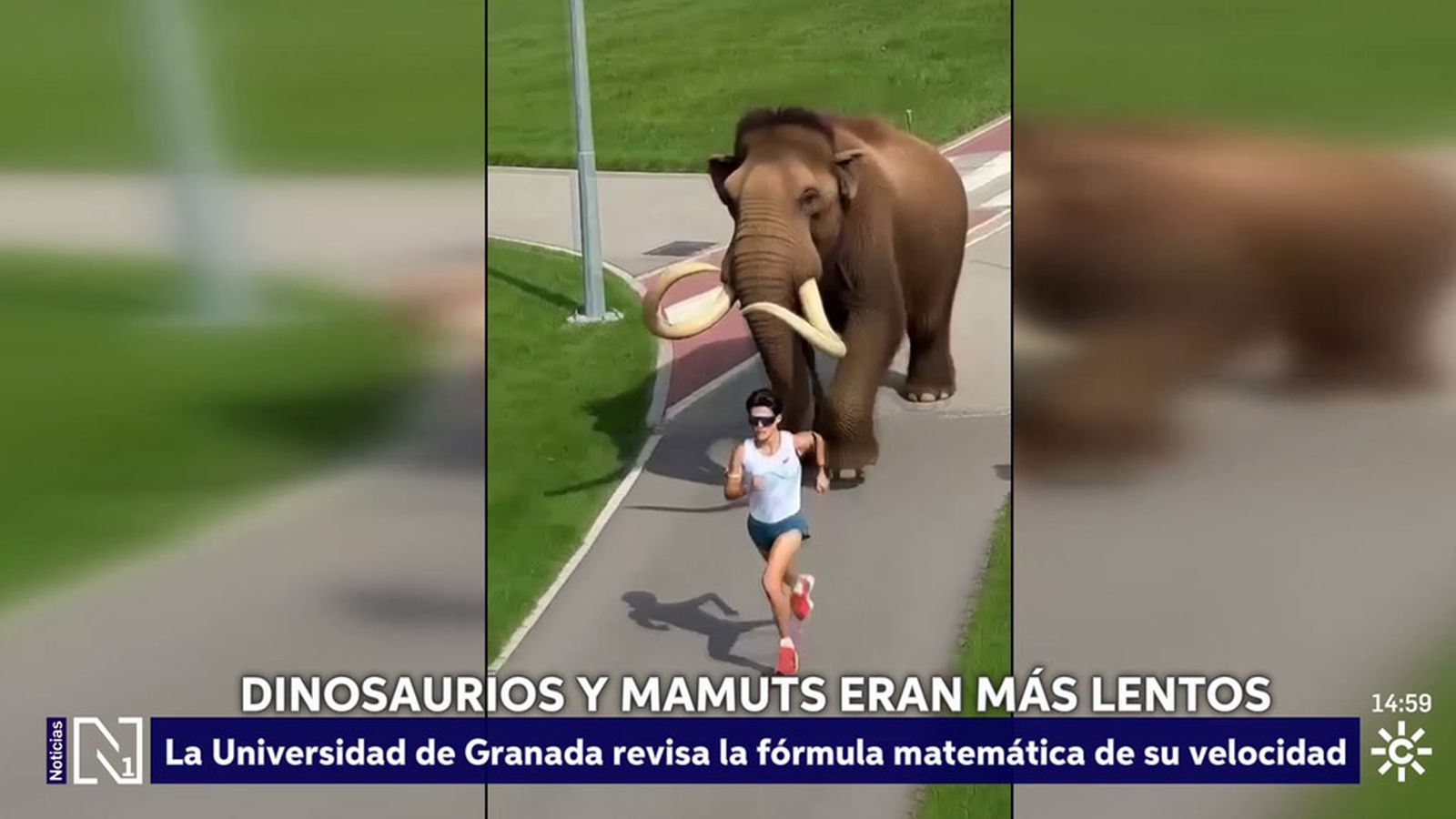 DINOSAURIOS Y MAMUTS ERAN MÁS LENTOS DE LO QUE SE PENSABA