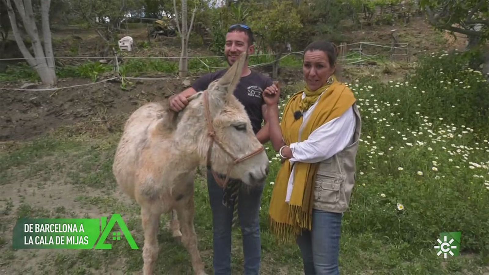 Está al frente de un santuario para burros maltratados y abandonados en la Cala de Mijas