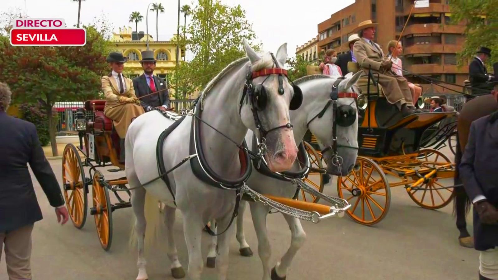 Multitud de coches de caballos se dan cita en Sevilla con motivo de la Exhibición de Enganches